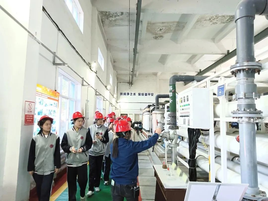 擦亮“禹龍”品牌,助力固廢循環產業高質量發展 擦亮“禹龍”品牌,助力固廢循環產業高質量發展